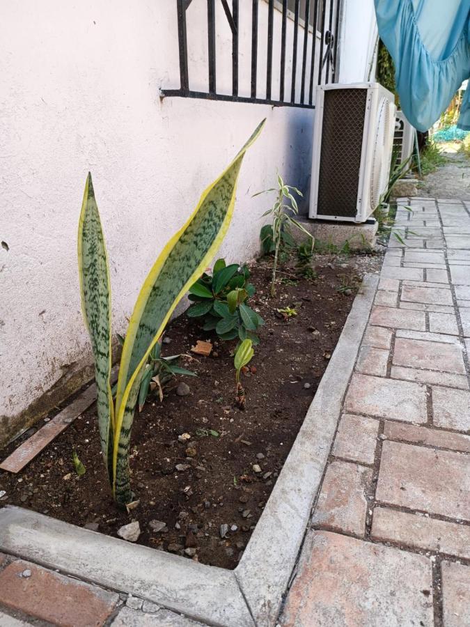 El Costeñito Hostal Veracruz Exterior foto